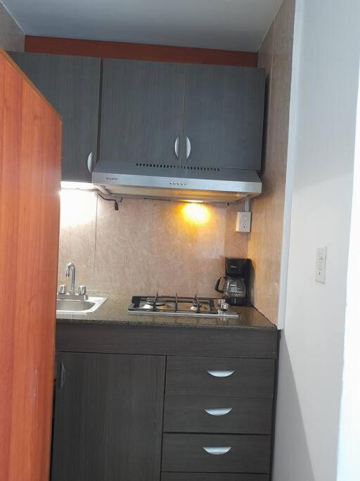 R.1112 Estudio Ejecutivo, Privado Con Cocina Y Bano. Apartment
